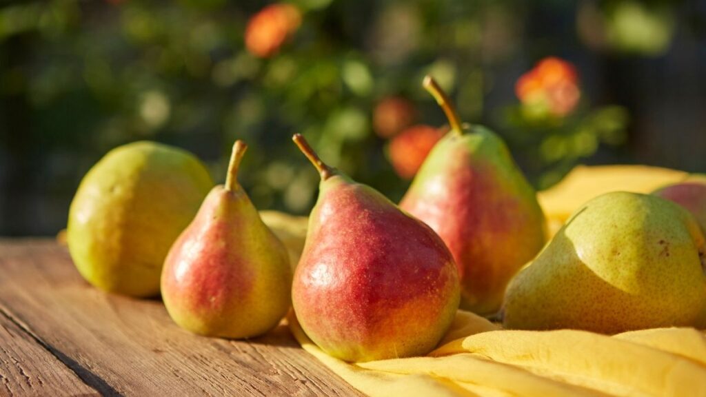 IAF Welcomes the Canada-BC Agri-Innovation Program and the BC Agrifoods Export Program