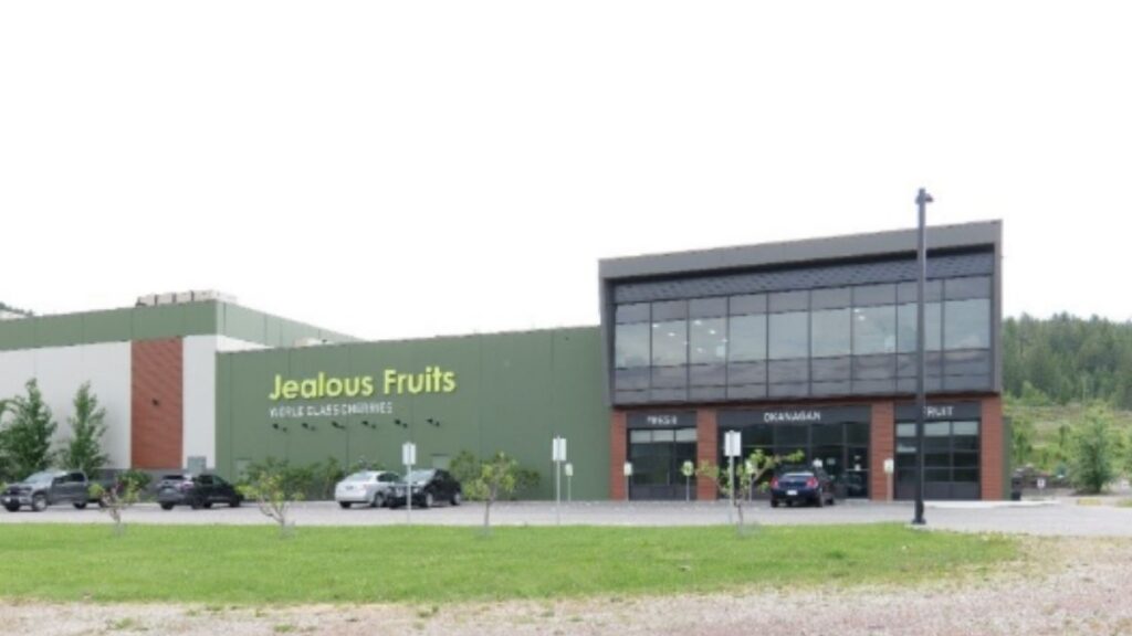 Jealous Fruits HQ