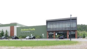 Jealous Fruits HQ