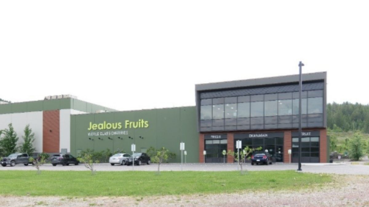 Jealous Fruits HQ